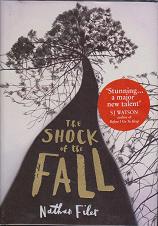 The Shock of the Fall by Nathan  Filer